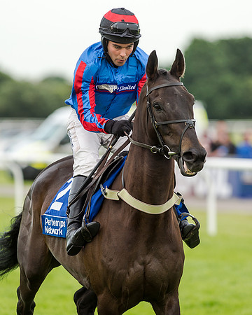 Race 5 - Pretemps Stratford Foxhunters (68 of 220)
