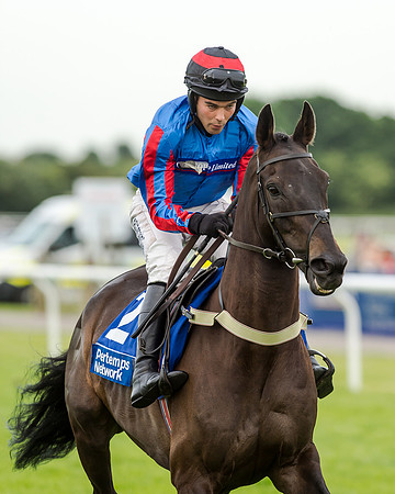 Race 5 - Pretemps Stratford Foxhunters (69 of 220)