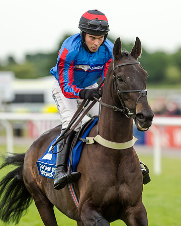 Race 5 - Pretemps Stratford Foxhunters (70 of 220)