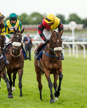 Race 5 - Pretemps Stratford Foxhunters (71 of 220)