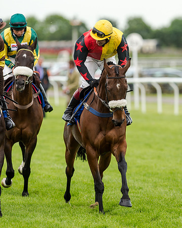 Race 5 - Pretemps Stratford Foxhunters (72 of 220)