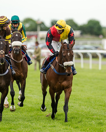 Race 5 - Pretemps Stratford Foxhunters (73 of 220)