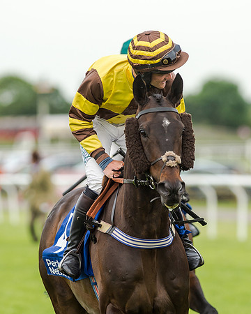 Race 5 - Pretemps Stratford Foxhunters (74 of 220)