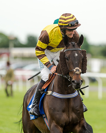 Race 5 - Pretemps Stratford Foxhunters (75 of 220)
