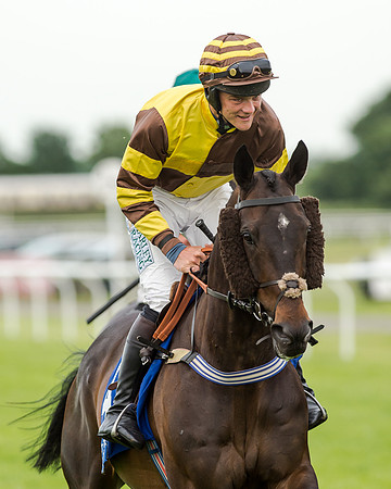 Race 5 - Pretemps Stratford Foxhunters (76 of 220)