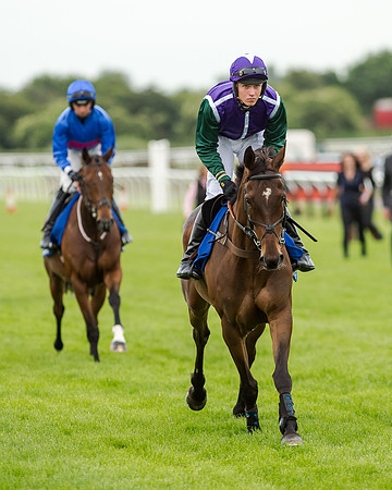 Race 5 - Pretemps Stratford Foxhunters (77 of 220)