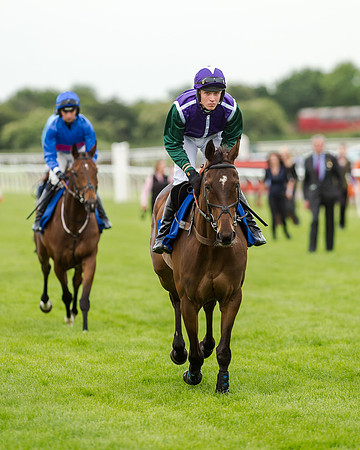 Race 5 - Pretemps Stratford Foxhunters (78 of 220)