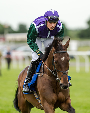 Race 5 - Pretemps Stratford Foxhunters (79 of 220)