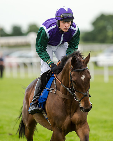 Race 5 - Pretemps Stratford Foxhunters (80 of 220)