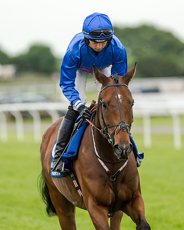 Race 5 - Pretemps Stratford Foxhunters (81 of 220)
