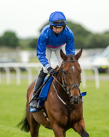 Race 5 - Pretemps Stratford Foxhunters (82 of 220)