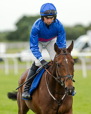 Race 5 - Pretemps Stratford Foxhunters (83 of 220)
