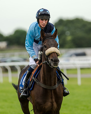 Young Hurricane - John Dawson