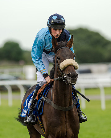 Young Hurricane - John Dawson