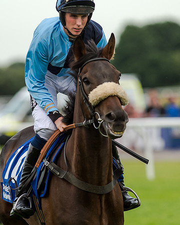 Race 5 - Pretemps Stratford Foxhunters (86 of 220)