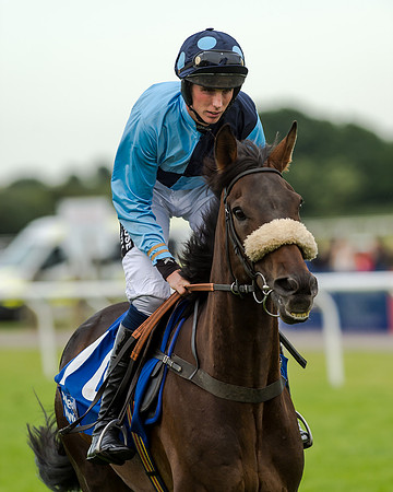 Young Hurricane - John Dawson