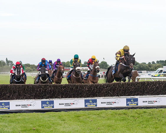 Race 5 - Pretemps Stratford Foxhunters (111 of 220)