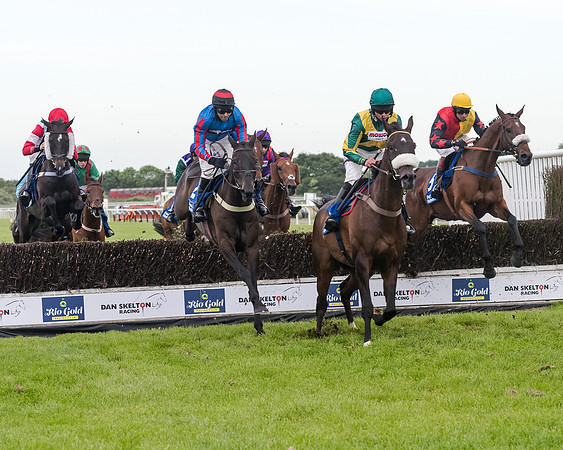 Race 5 - Pretemps Stratford Foxhunters (120 of 220)