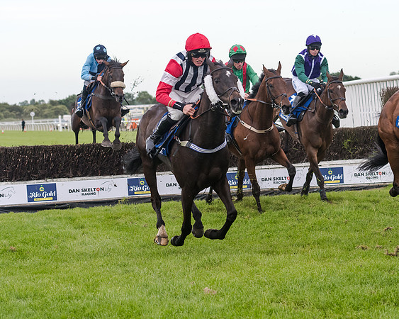 Race 5 - Pretemps Stratford Foxhunters (129 of 220)