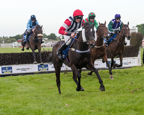 Race 5 - Pretemps Stratford Foxhunters (130 of 220)