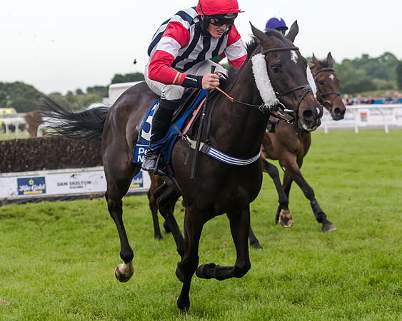 Race 5 - Pretemps Stratford Foxhunters (133 of 220)