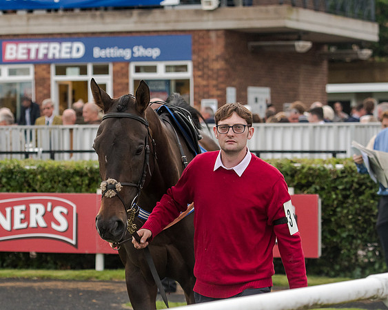 Race 6 - Sheldon Bosley Knight Hcap (1 of 219)