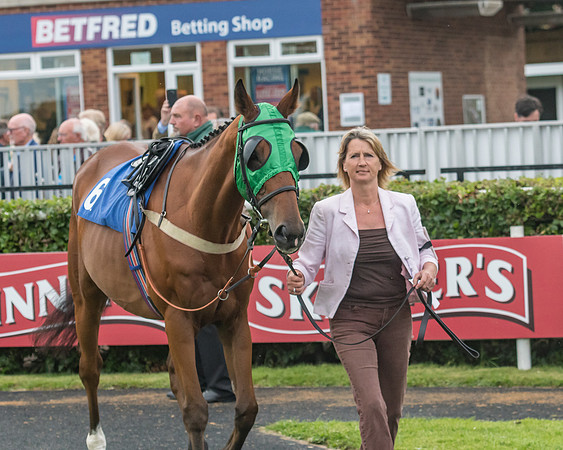 Race 6 - Sheldon Bosley Knight Hcap (13 of 219)