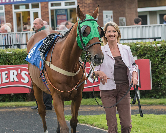 Race 6 - Sheldon Bosley Knight Hcap (14 of 219)