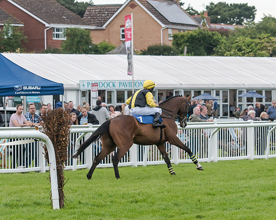 Race 6 - Sheldon Bosley Knight Hcap (44 of 219)