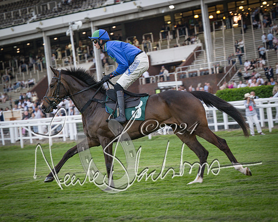 Race - 7 The Royal Gloucester Hussars Open Hunter's steeplechase 2m4f 127y (46 of 210)