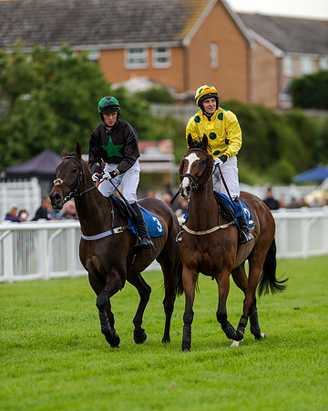 Race 6 - Sheldon Bosley Knight Hcap (60 of 219)