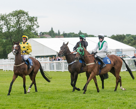 Race 6 - Sheldon Bosley Knight Hcap (92 of 219)