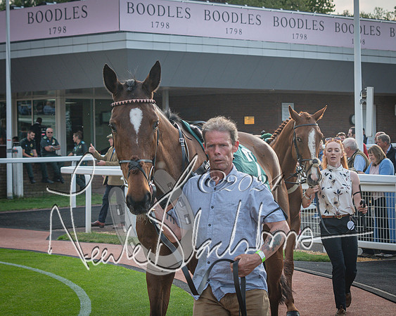 Race 5 - Mares Open Hunter Steeplechase 3m2f 70y (2 of 269)