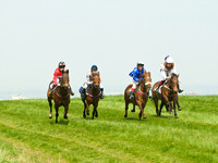 Ponies and Hounds 3