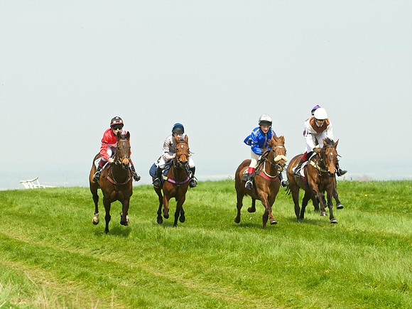 Ponies and Hounds 3