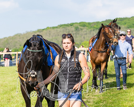 Race 5  - Maiden race 2m5F Div-2 (26 of 205)