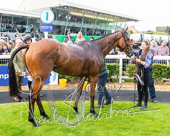 Race 3 - John Corbet Cup  (92 of 108)