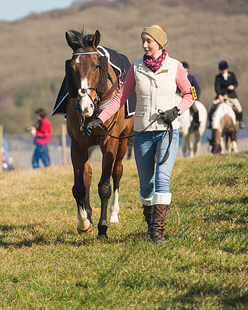 Race 1 Div 1 - 2M4F Maiden (26 of 117).jpg