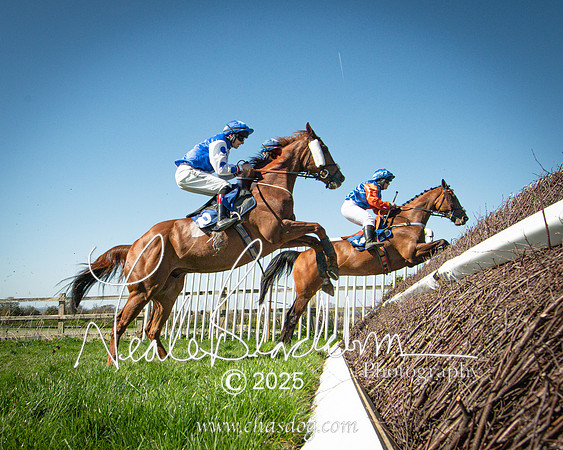 Race 4 - Mixed Open (130 of 168)