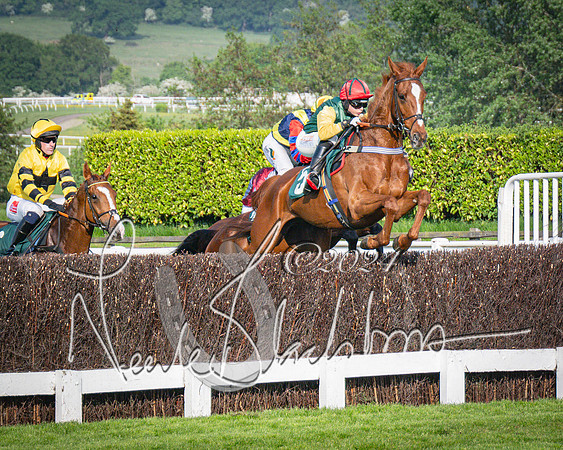 Race 3 - The Junior Jumpers open hunter's steeple chase 3m1f56y (47 of 156)-2