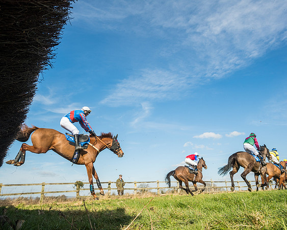 Race 1 - Open Maiden Division 2 (79 of 173)
