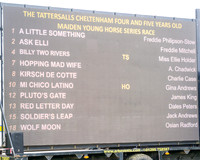 Race 3 - Young Horse Maiden (1 of 216)