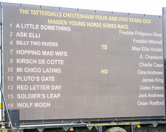 Race 3 - Young Horse Maiden (1 of 216)