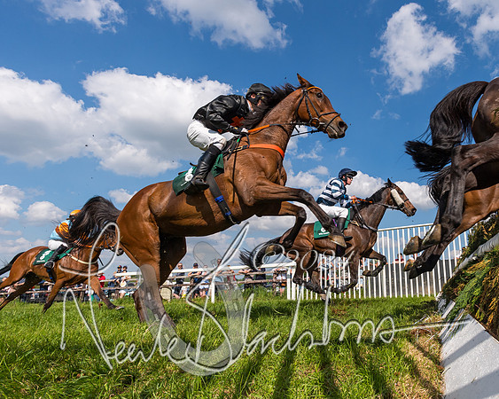 Race 4 - PPORA Novice Riders Final  (221 of 362)