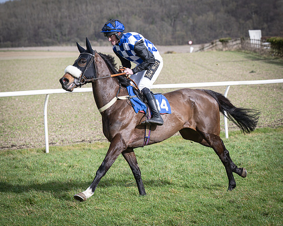 Race 3 - The Maiden Conditions (57 of 214)