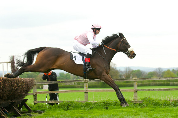 Race 4 - Nov-vets 39