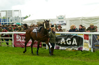 Race 5 - Restriced 14