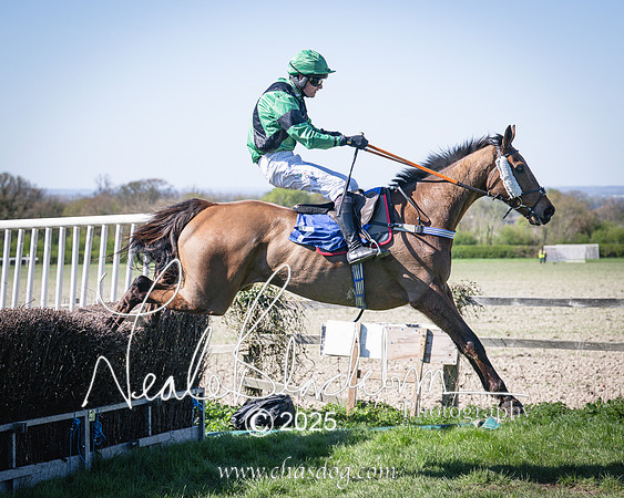 Race 4 - Mixed Open (117 of 168)