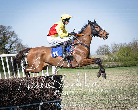 Race 5 - The restricted (48 of 113)