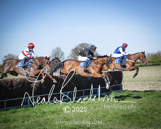 Race 6 - Veteran horse (60 of 109)